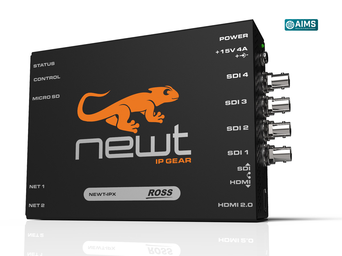 newt professional 2.5