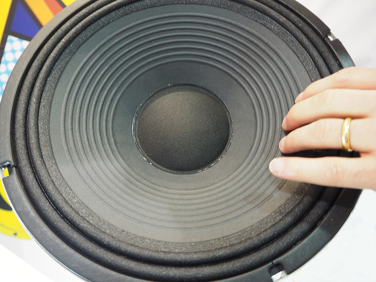 loudspeaker cones